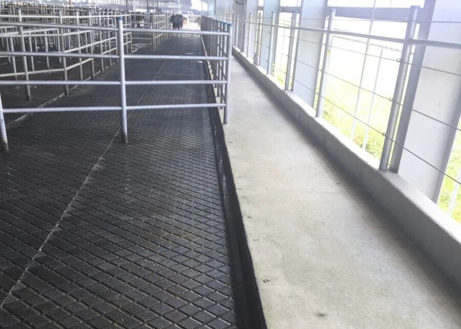 Custom-fit anti-slip rubber mats installed in a modern dairy milking parlor