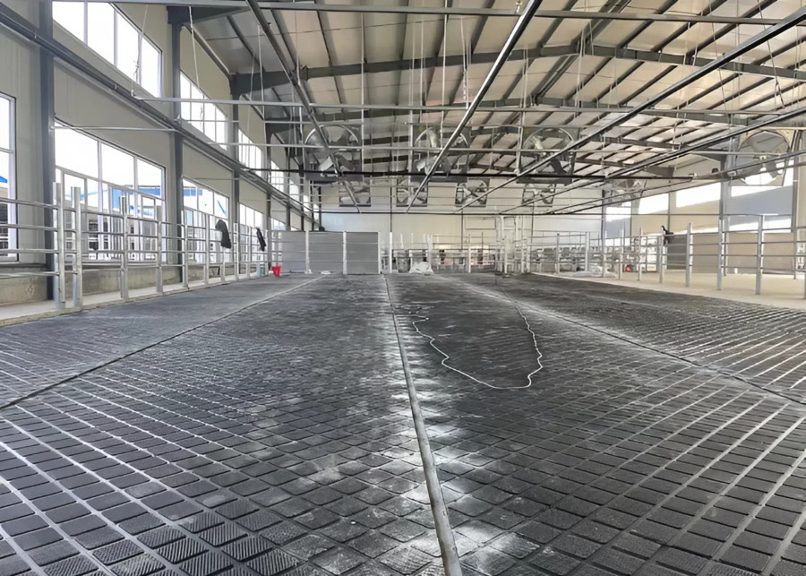 A clean and safe dairy barn with black rubber mats in the walkways