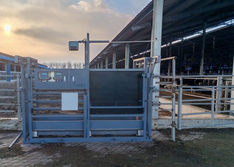 What is a stress-free livestock alley scale?