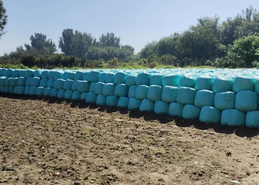Large-scale storage of wrapped silage bales, ideal for commercial forage production