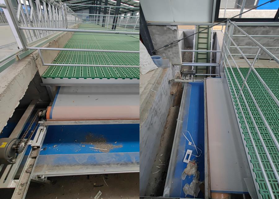 An automatic manure scraper operating under a raised floor