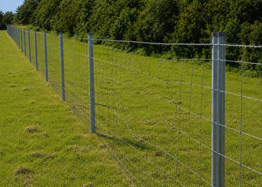 Damaged barbed wire farm fence