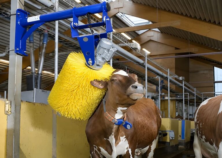 Why a High-Efficiency Cattle Body Brush is Your Farm’s Best ROI?