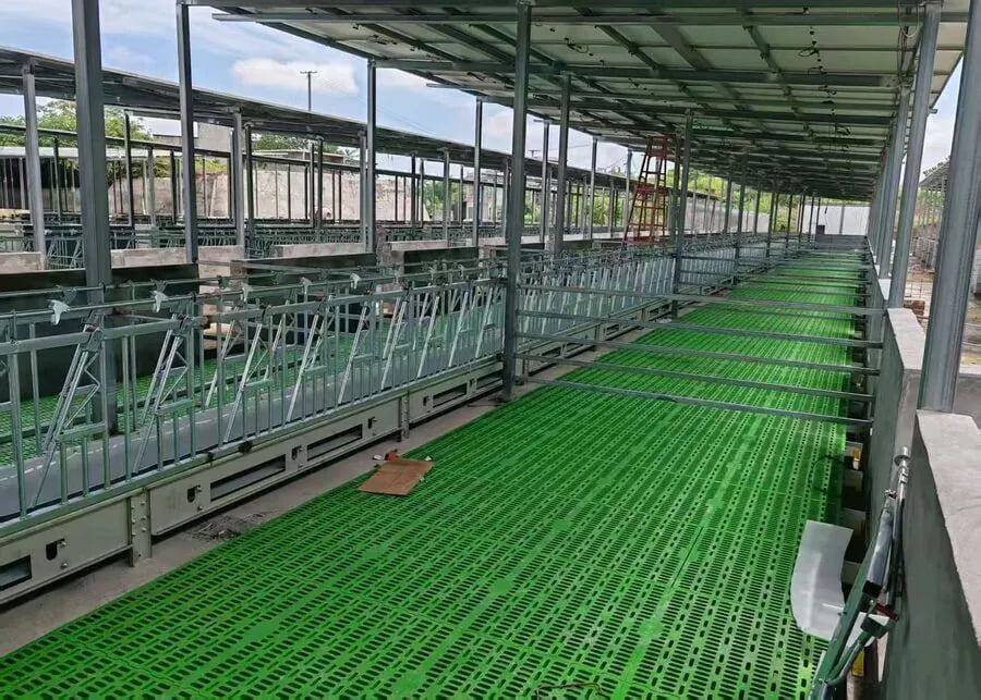 Large-scale turnkey sheep farm infrastructure construction with automated manure management