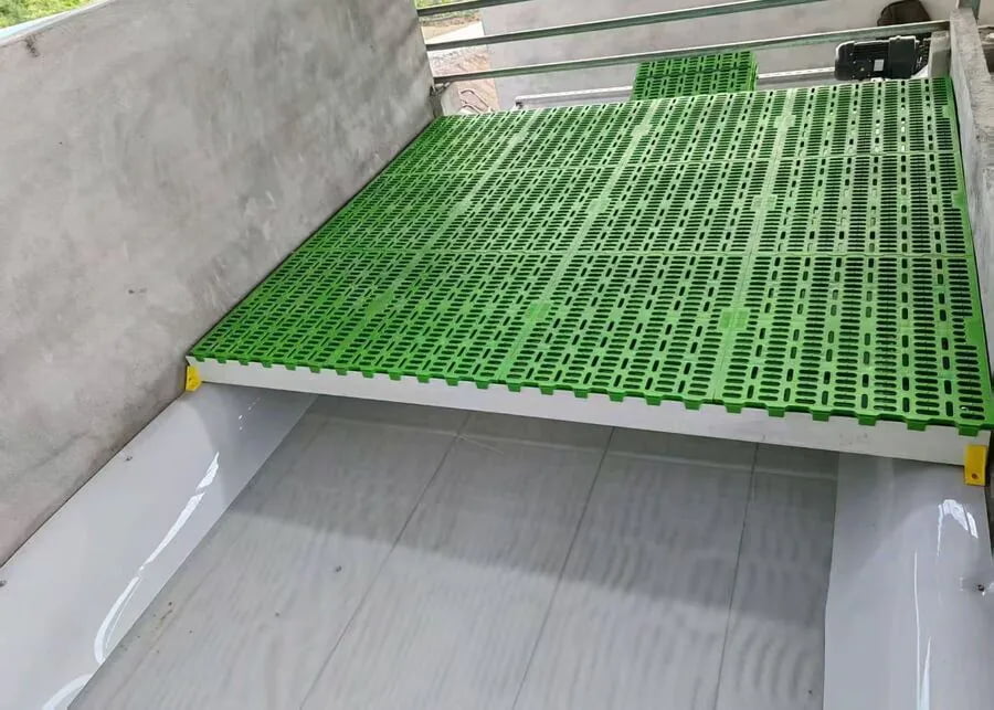 Automated PP manure belting running under green slatted flooring in sheep pens
