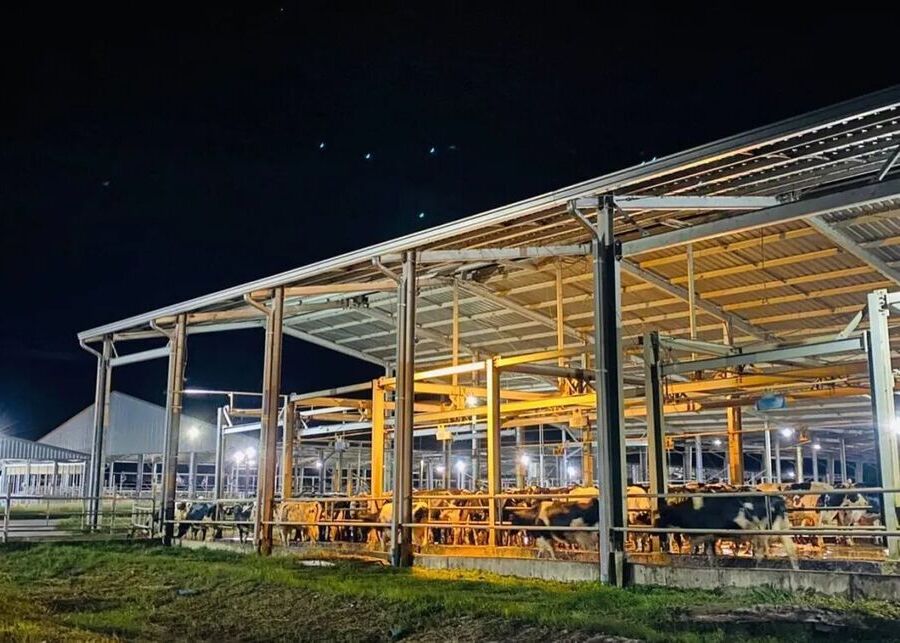 Modern, high-efficiency dairy farm facility at night