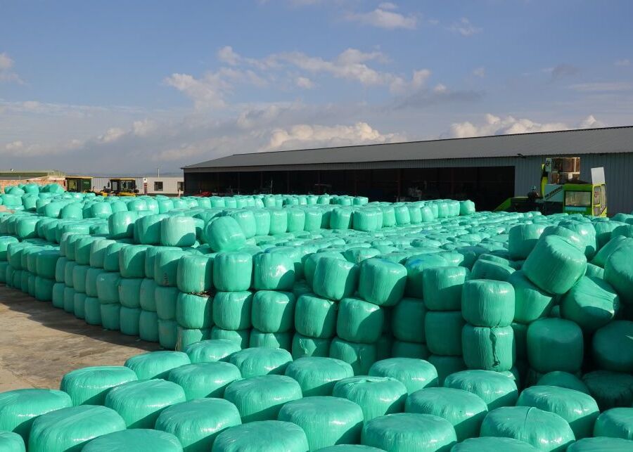 Strategic silage stockpiling on a modern farm