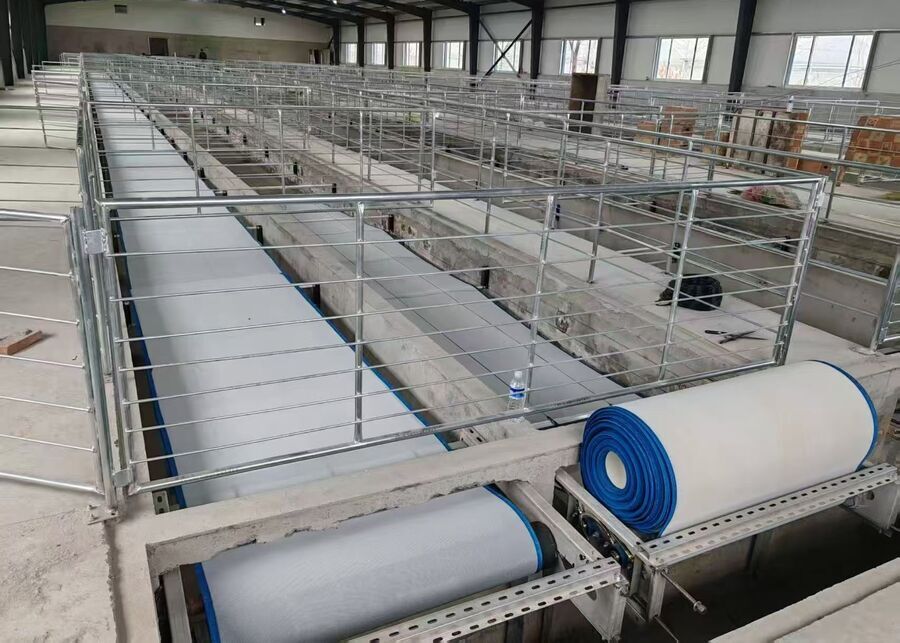 NexAgri Modern Goat Barn Automated Manure Removal Belt Automated PP manure conveyor belt system under goat pens for parasite control