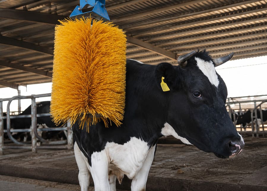 NexAgri Automatic Cow Brush NexAgri Automatic Cow Brush installed in a barn