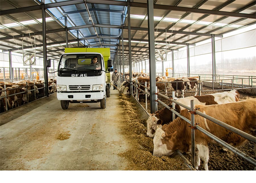 Modern Dairy Farm Equipment Modern beef cattle barn utilizing mechanical feed spreaders and barn fans for herd efficiency