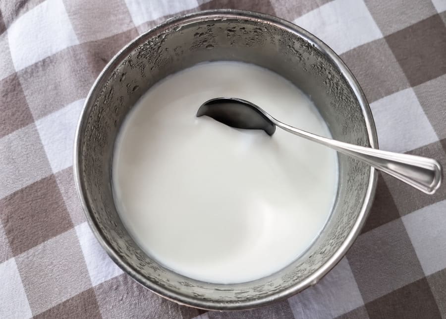 A close-up of a stainless steel bowl filled with perfectly smooth, thick, creamy homemade yogurt and a spoon, representing the successful result of precision milk processing.