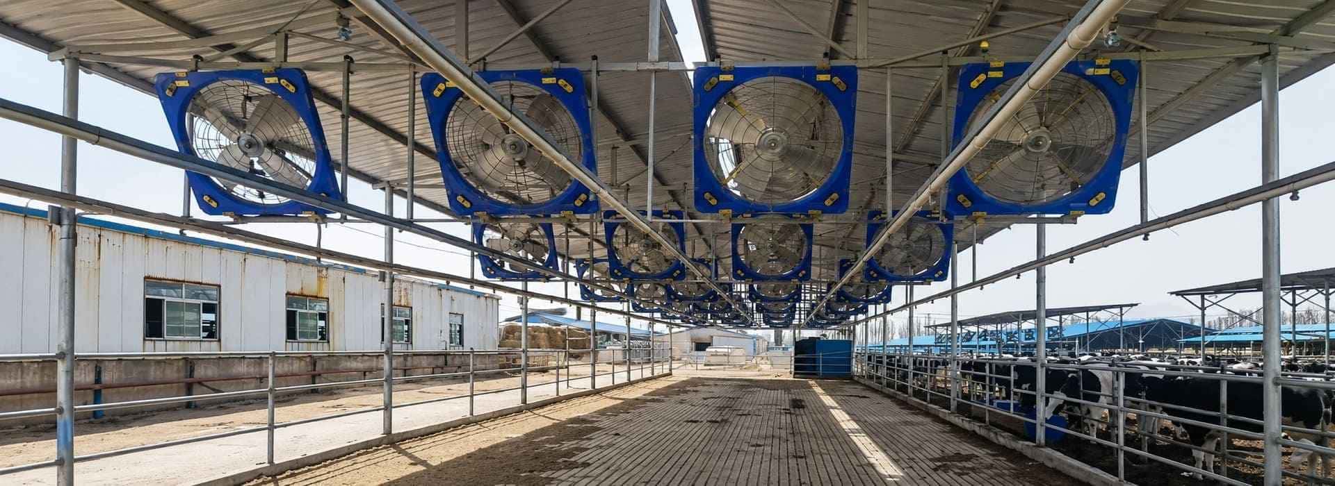 Professional Commercial Barn Environment Control Systems