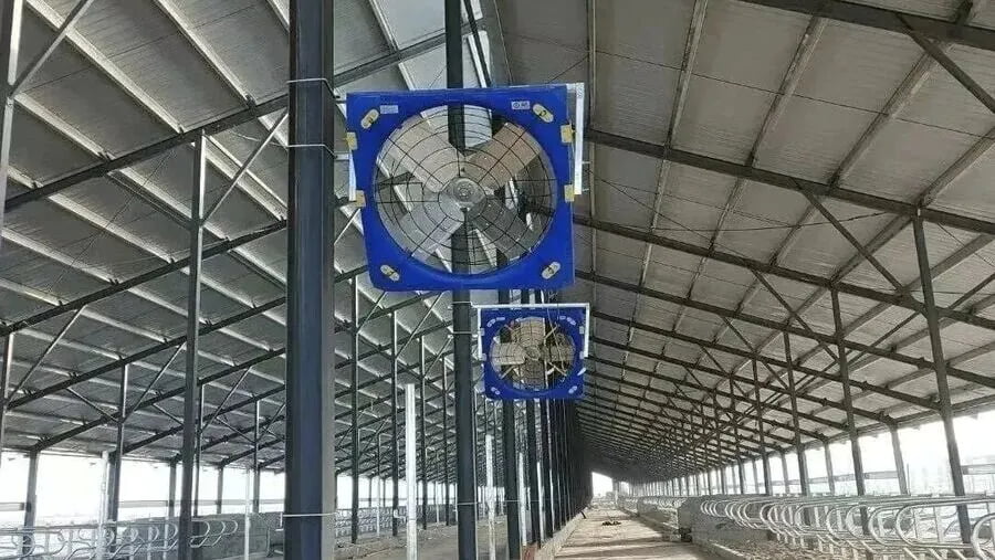 6-Blade High Volume Dairy Barn Fan Installation Middle East