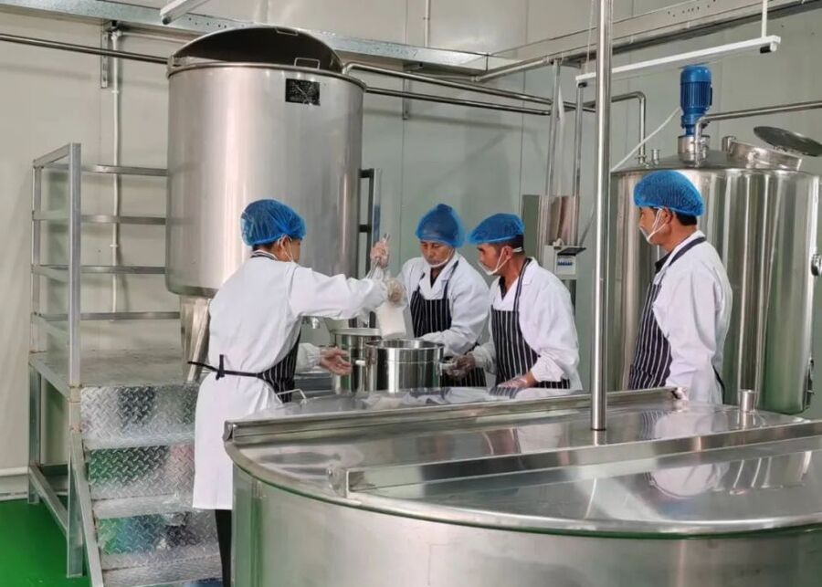 Dairy plant workers operating stainless steel equipment for commercial yogurt production