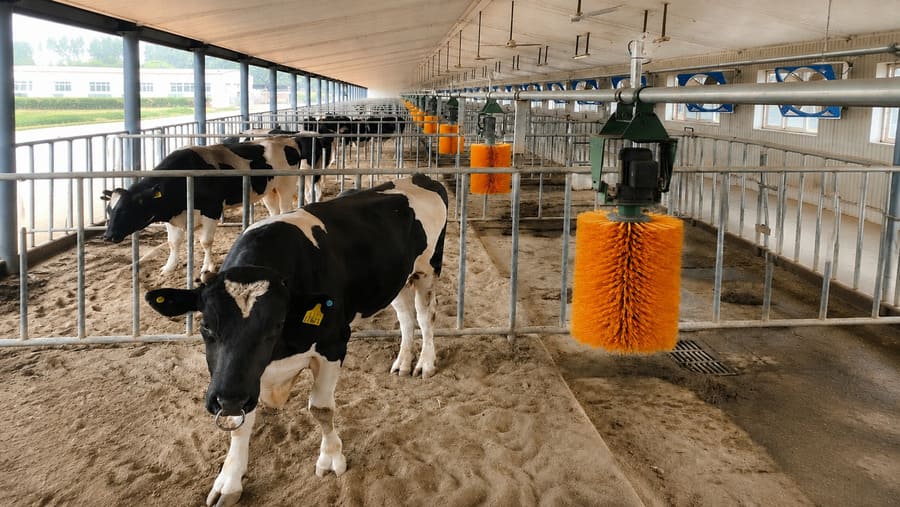Hokkaido Japan Farm Installation