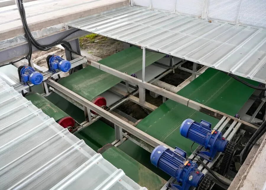 Automated manure conveyor belt system under goat slatted floor
