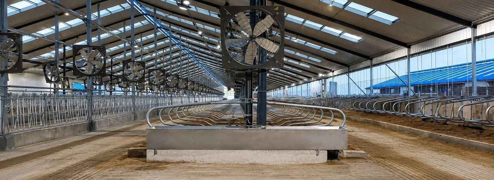 Thermostatic Heated Stainless Steel Water Trough in Commercial Barn
