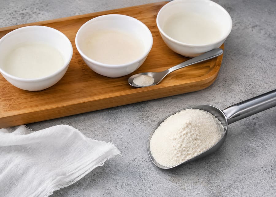 Stainless steel scoop and bowls containing different types of yogurt starter cultures for precise dairy fermentation.