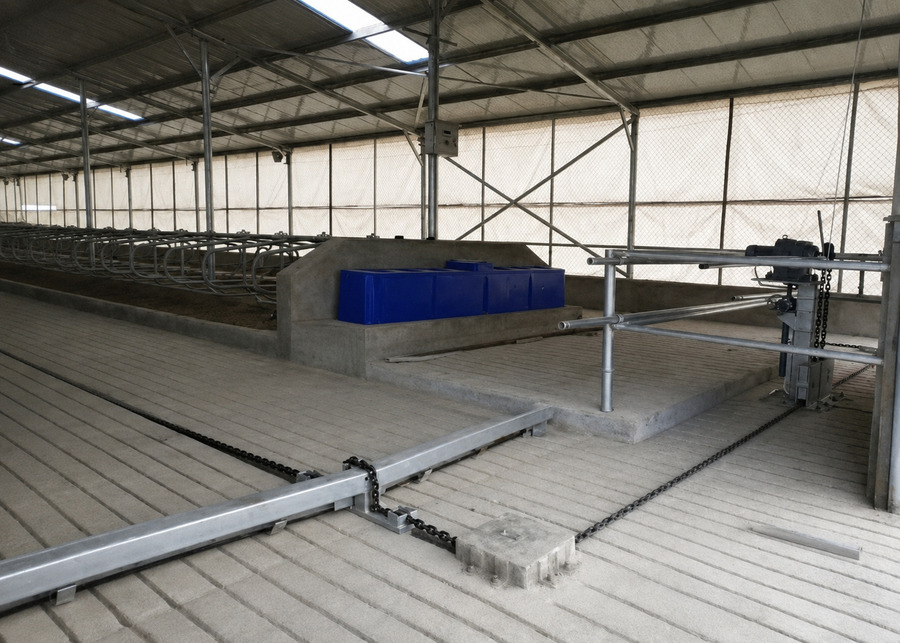 Chain-driven manure scraper installed in a dairy barn showing chain, blade, and drive unit