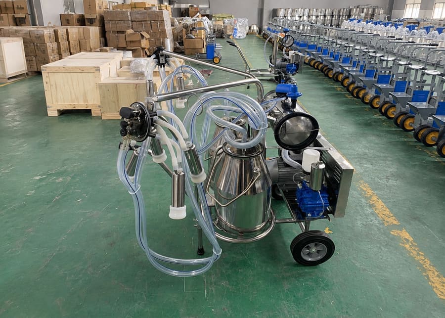 Double bucket commercial milking machine in direct manufacturer assembly workshop