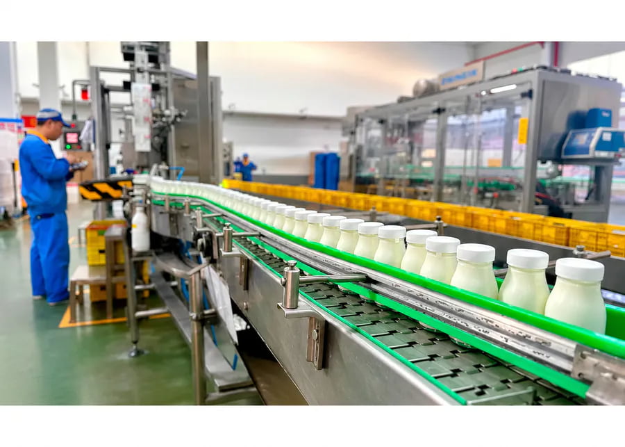 Glass bottle packaging equipment and conveyor line for premium small dairy farms