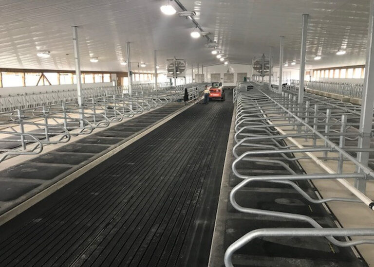 How a Modern Dairy Farm Works in 2026: Complete Engineering, Equipment & Processing Guide?