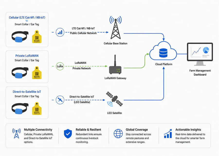 IMAGE PLACEHOLDER: Technical connectivity architecture diagram comparing cellular (LTE Cat-M1), private LoRaWAN gateways, and direct-to-satellite IoT topology for grazing livestock management