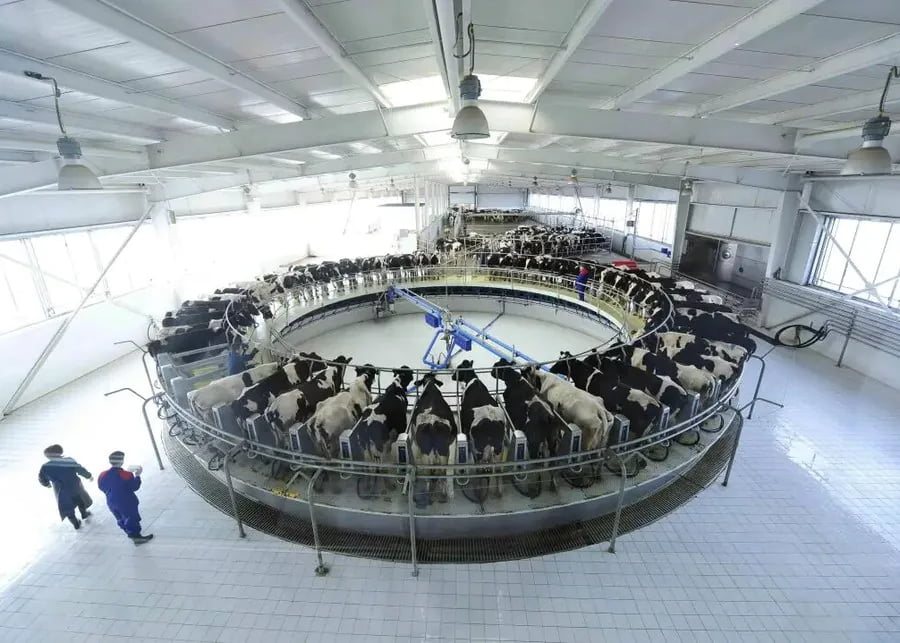 Silicone dairy farm liner material for rotary parlors and automated milking systems